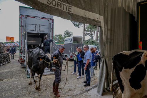 Salon de l’agriculture Nouvelle-Aquitaine : qu’en est-il du bien-être animal ?