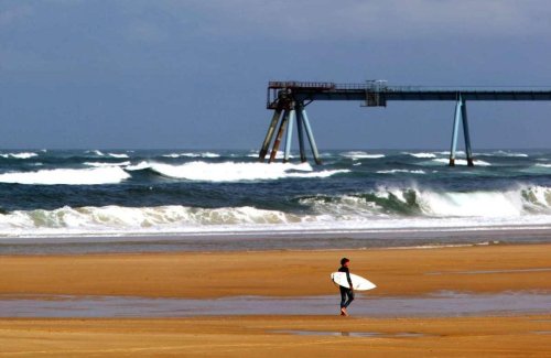 Bassin d’Arcachon : un « kiosque de dégustation » sur la plage de la Salie Sud cet été