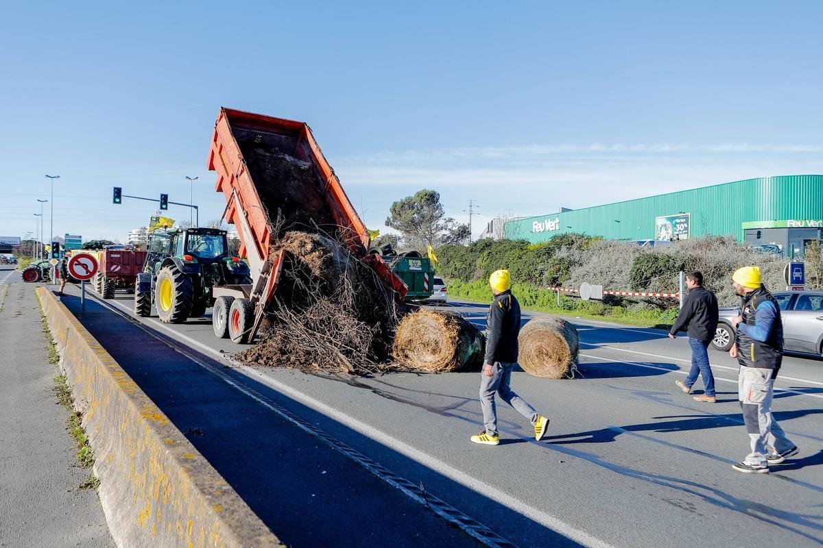 Vidéo. Charente-Maritime : les agriculteurs se disent prêts à se mobiliser « longtemps »