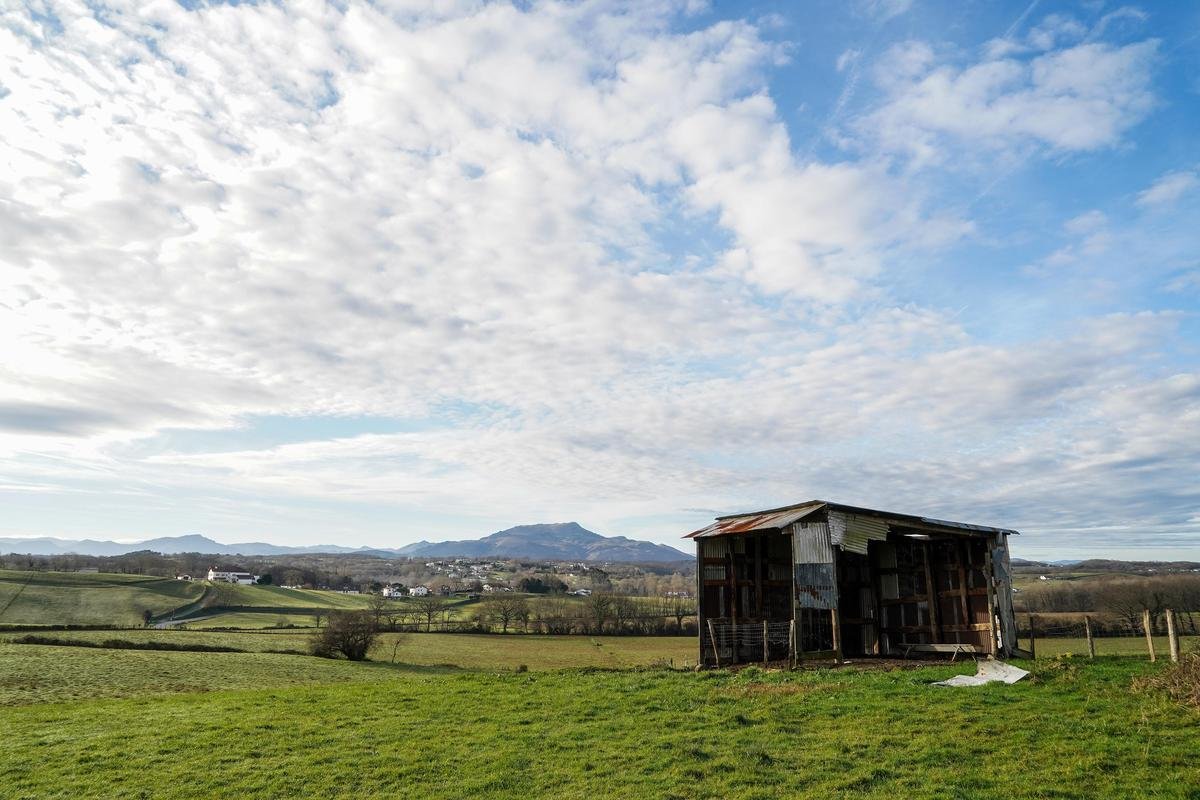 Agriculture : 40 000 petites fermes ont disparu en seulement trois ans, alerte l’association Terres de Liens