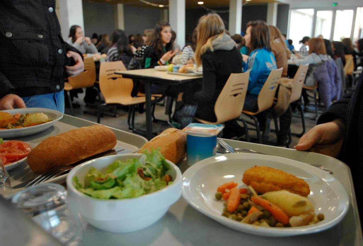 Lot-et-Garonne : quels sont les nouveaux collèges labellisés « bio engagés » ?