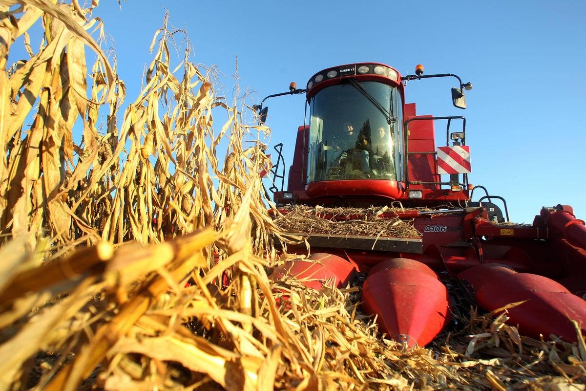 Nérac : Limagrain recrute 70 saisonniers pour la saison estivale