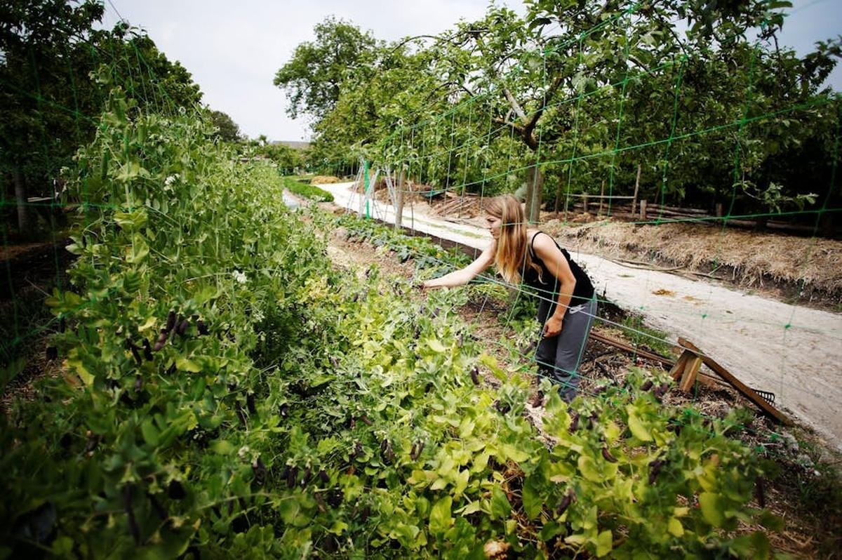Lycées agricoles : quelle place pour les filles ?