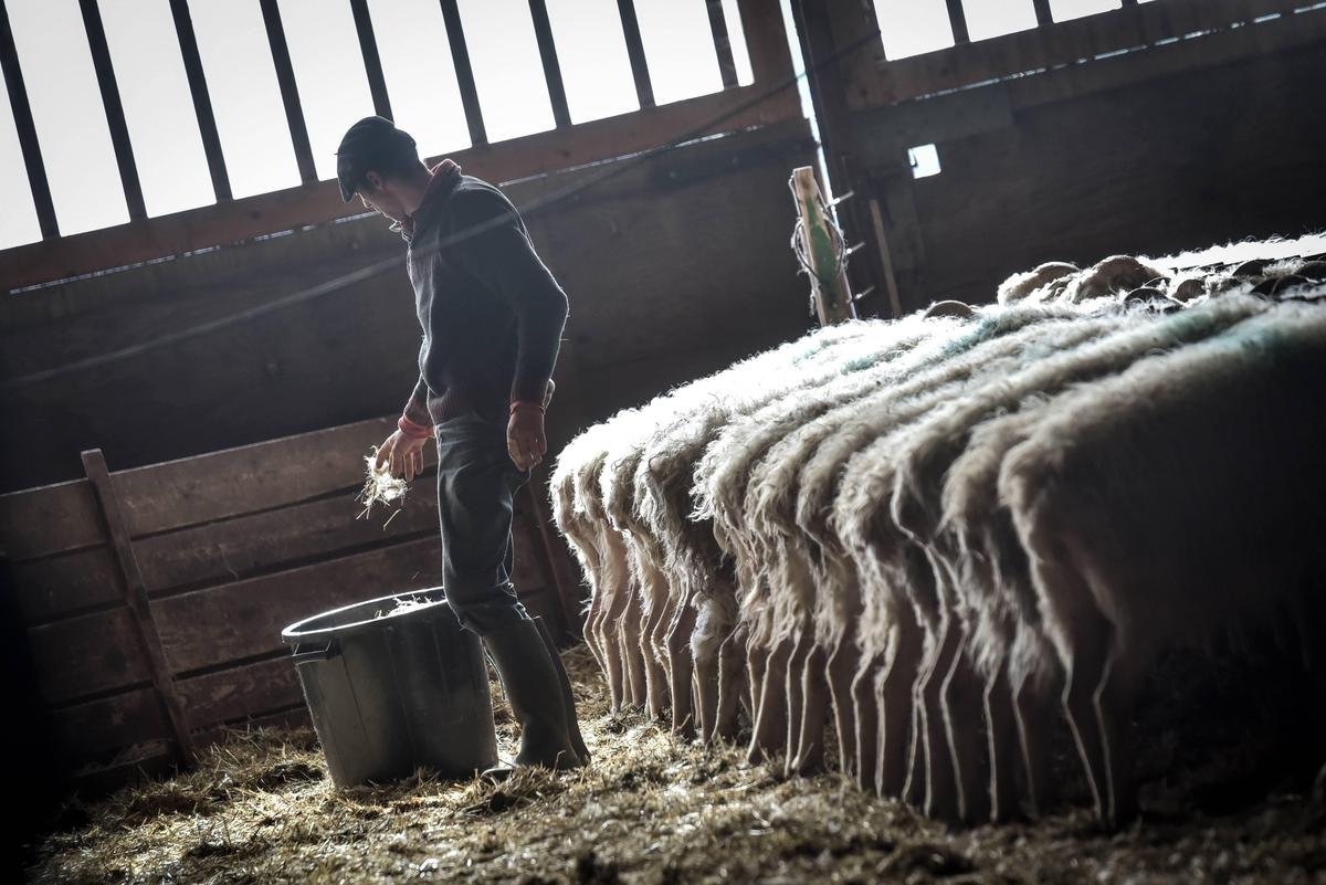Agriculture : « La culture non-alimentaire doit rester raisonnée »