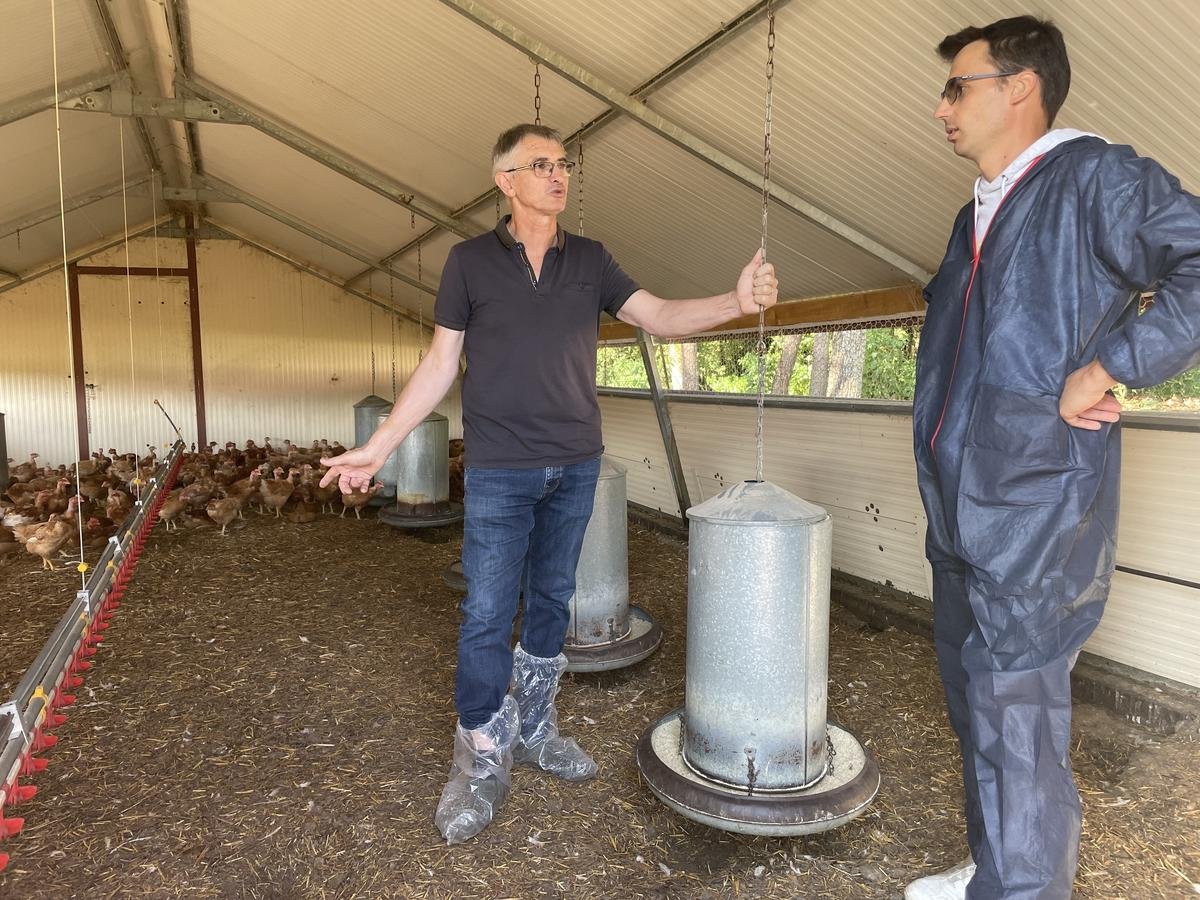« Un enjeu collectif de souveraineté » : Maïsadour lance un plan de développement pour relancer la filière volailles