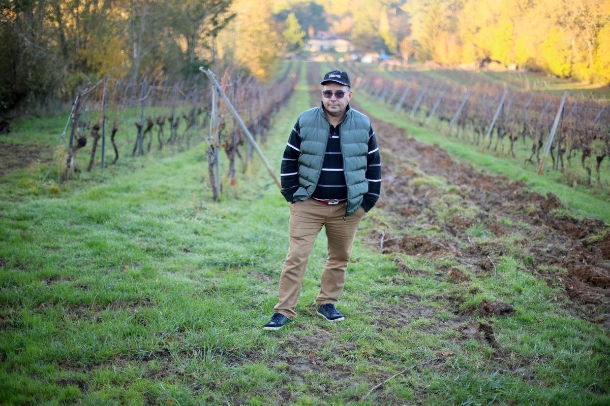 Lot-et-Garonne. « Il faut tourner la page » : un viticulteur arrache ses sept hectares de vignes pour y planter des oliviers