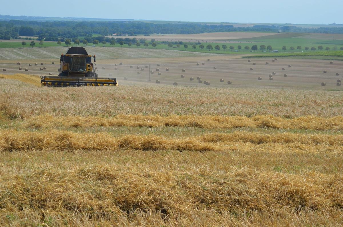Future PAC : Bruxelles promet un minimum de 51 milliards d’euros pour l’agriculture française