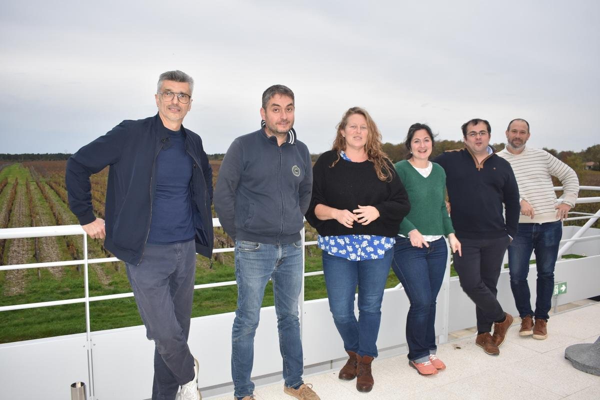 Viticulture en Gironde : des professionnels de la filière s’unissent pour réfléchir à des solutions face à la crise