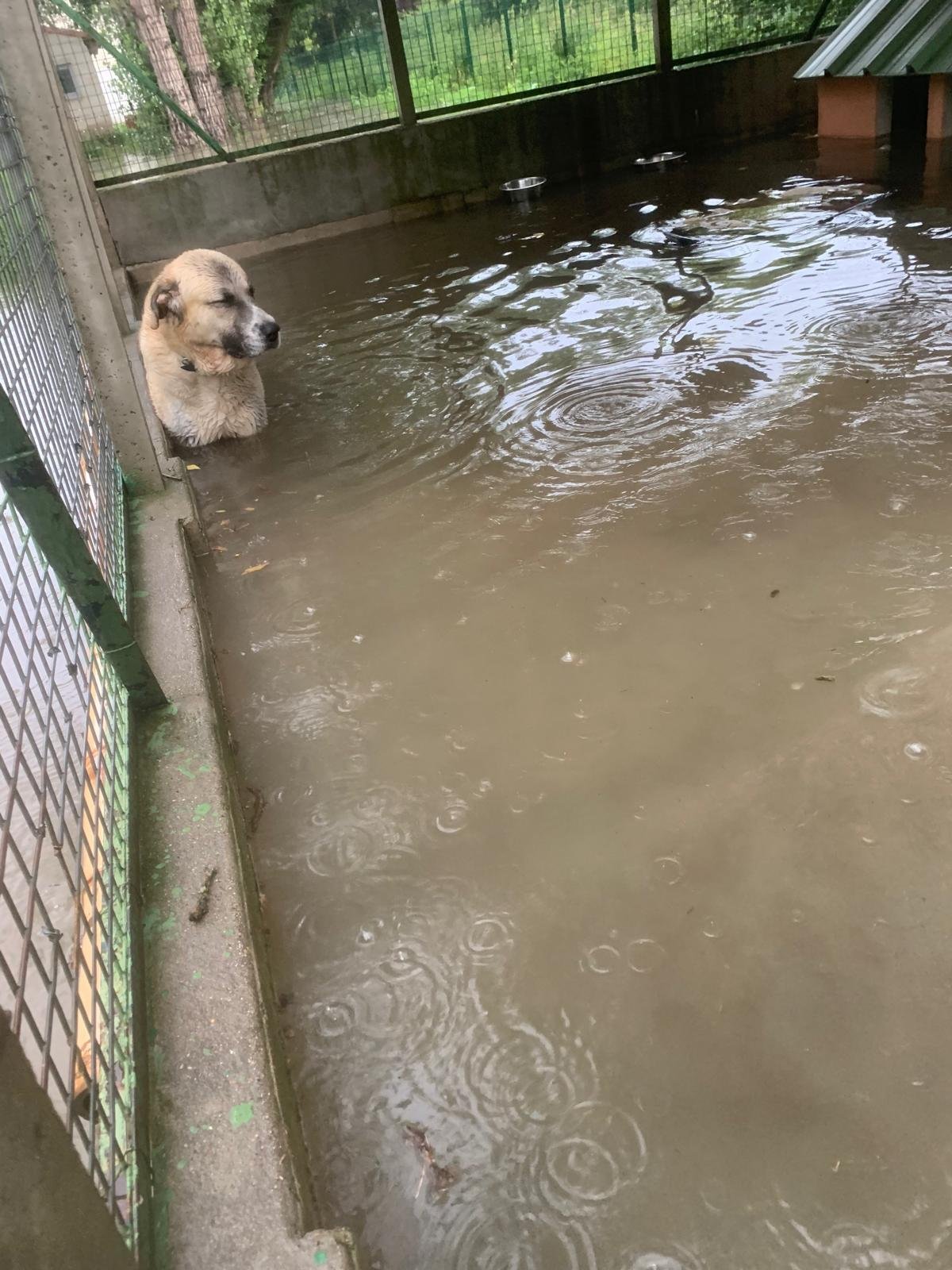 Inondations récurrentes aux abords de Camélat : la préfecture demande à l’Agglo d’Agen de revoir sa copie