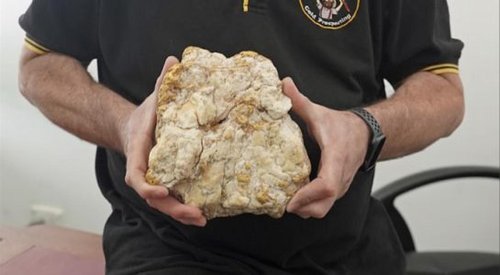 Il découvre 2,6 kg d’or évalué à 150 000 euros dans une roche, grâce à son détecteur de métaux