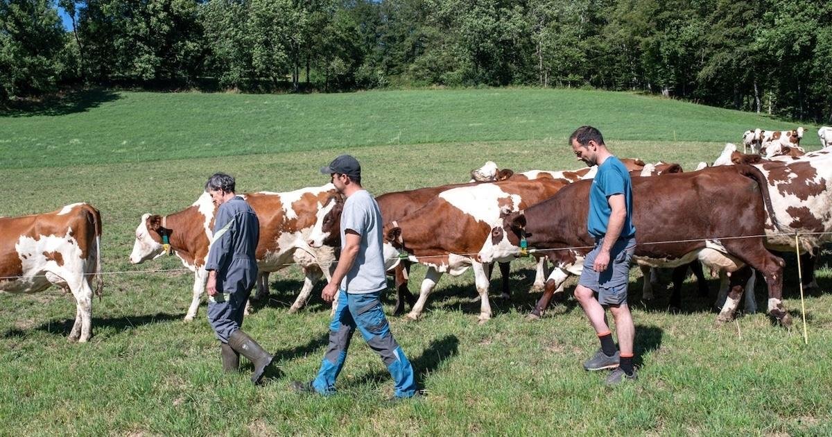 Agen : les agriculteurs retrouvent le grand écran