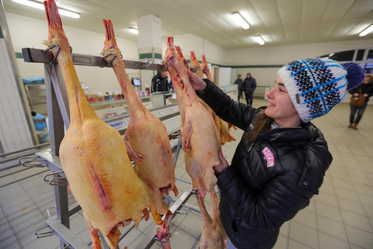 « On espère que le marché au gras va reprendre du poil de la bête » : à Peyrehorade, malgré les crises aviaires, les jeunes producteurs y croient encore