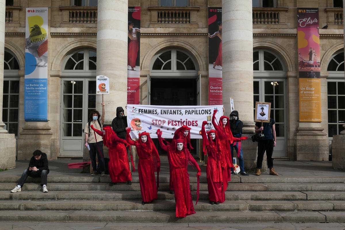 Extinction rébellion défile à Bordeaux pour alerter contre les dangers des pesticides