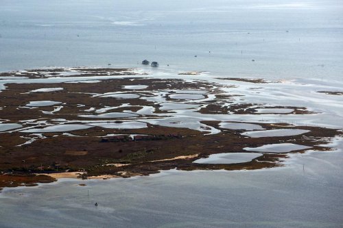 Bassin d’Arcachon : corps d’une femme retrouvé près de l’Île aux Oiseaux, ce que l’on sait
