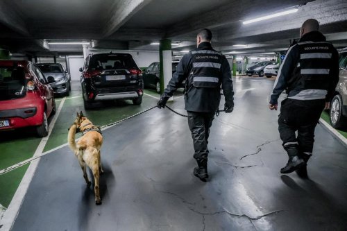 À Bordeaux, la sécurité des parkings est plus difficile à assurer face aux « bandes organisées » et aux « intrusions »