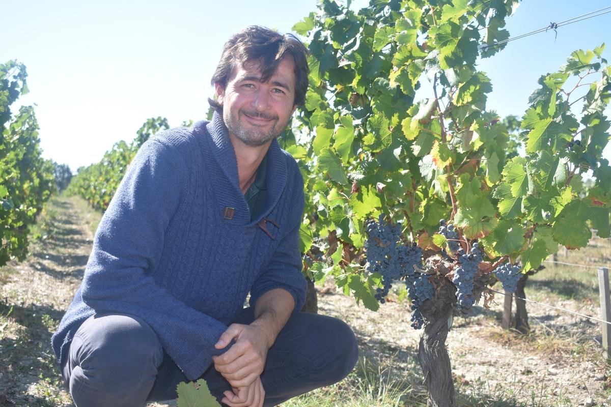 Médoc : le classement 2025 des crus bourgeois dévoilé