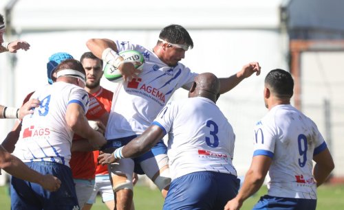 Rugby : Périgueux bat Vienne sans trembler dans le duel des promus en Nationale