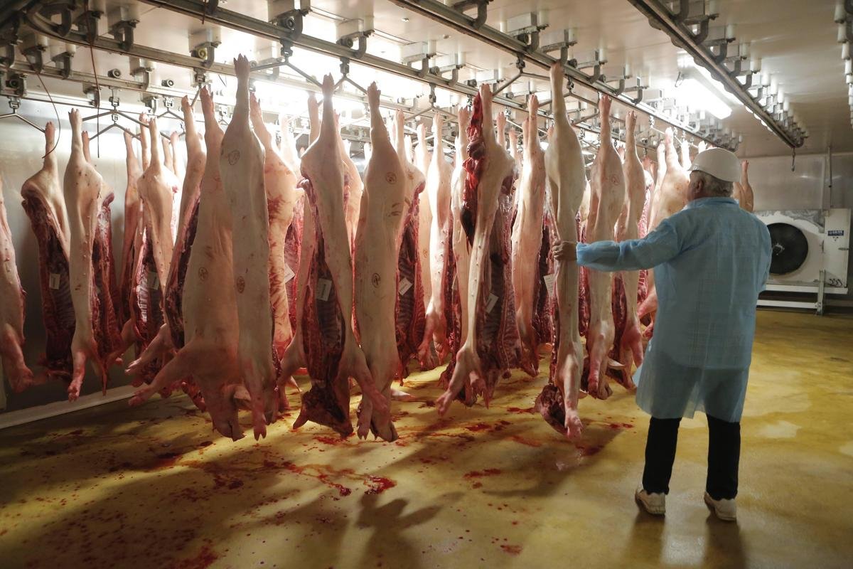 À Bergerac, l’abattoir dans une situation financière « catastrophique »