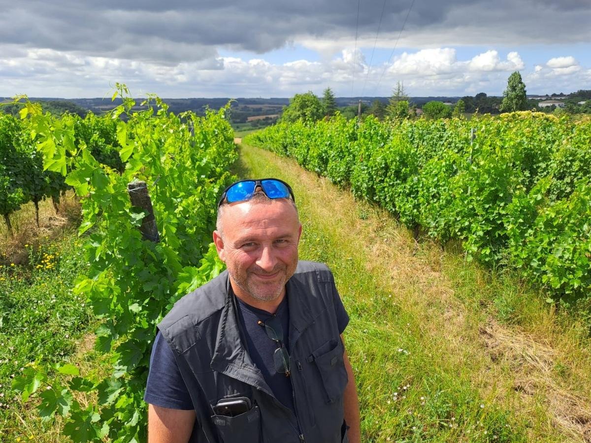 Vins de Duras : à la recherche des cépages du futur, résistants aux maladies et au réchauffement climatique