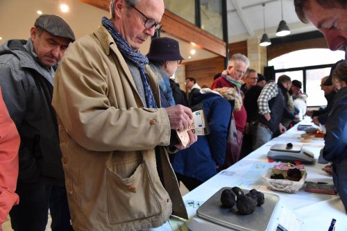 Dordogne : le premier marché aux truffes de la saison a ouvert