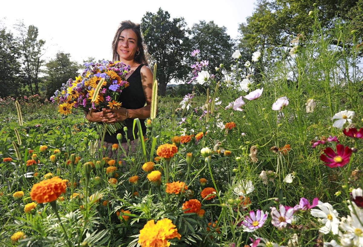 « Paysanne fleuriste », Illia Tousis, produit dans les Landes les fleurs « des jardins de nos grands-mères »