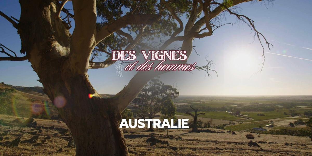 VIDEO. Australie : l’héritage allemand de la biodynamie aux confins du désert, découvrez notre documentaire