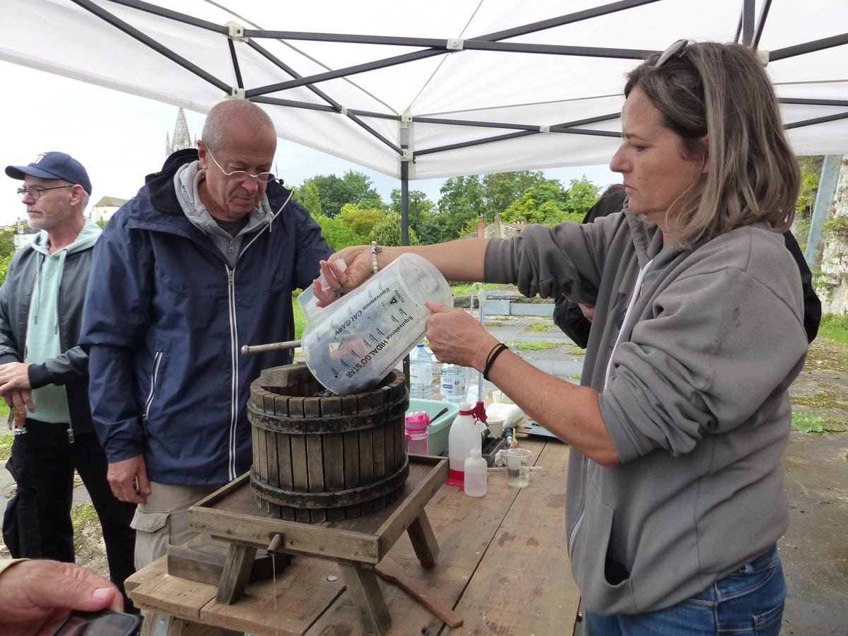 Saintes : 30 kilos de merlot pour la première vendange du Clos Saint-Louis