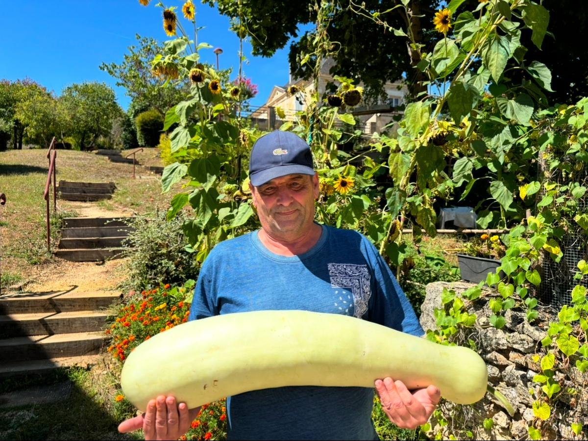 « Je les booste » : potiron de 250 kg et courgettes de 15 kg poussent dans son potager hors norme
