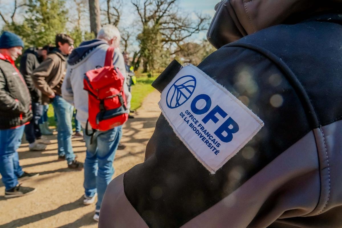 Les agents de l’OFB, « humiliés » par le Premier ministre, annoncent une grève « très suivie » le 31 janvier