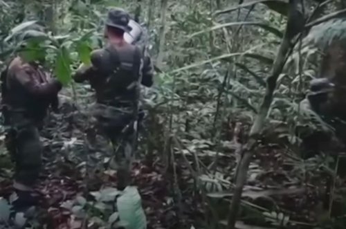Enfants perdus dans la jungle depuis 30 jours : « Ils sont en vie », assure le responsable des recherches
