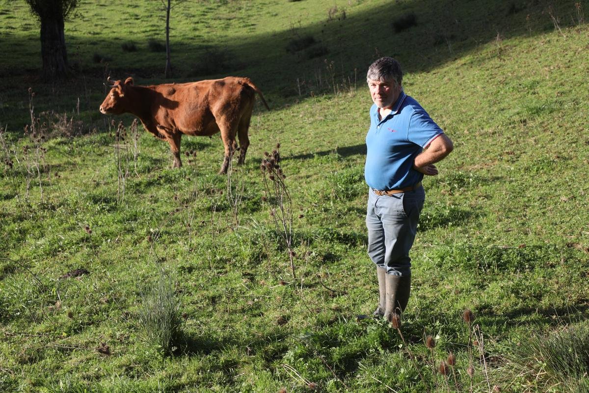 Tuberculose bovine : une opération d’abattage de troupeau bloquée par le refus d’un éleveur de Dordogne