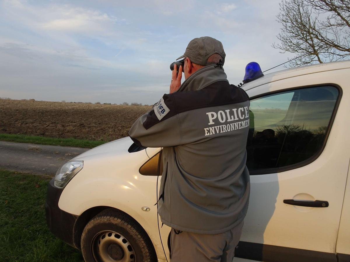 Office français de la biodiversité : pourquoi la nomination de la directrice générale fait-elle l’objet d’une enquête administrative ?