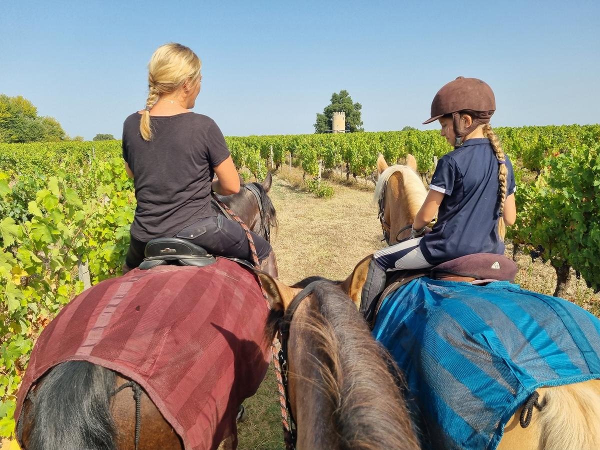 « Raviver la flamme » : le château Vieille Tour organise des balades à cheval dans les vignes pour diversifier ses activités
