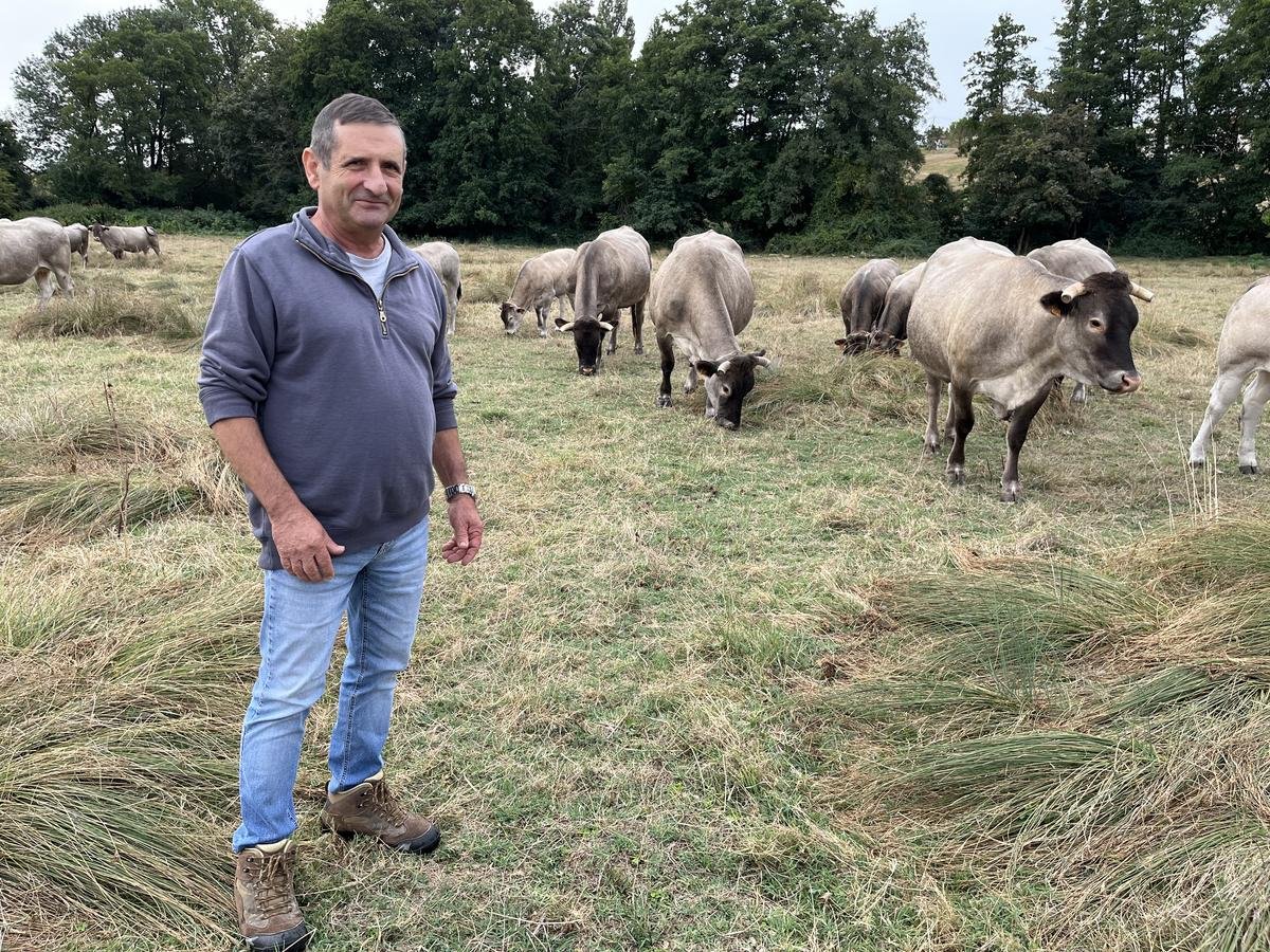 Sud-Gironde : « On était peu, pas marginaux, mais bon… » Reconnu pour son travail de sélection de vache bazadaise, cet éleveur prend sa retraite