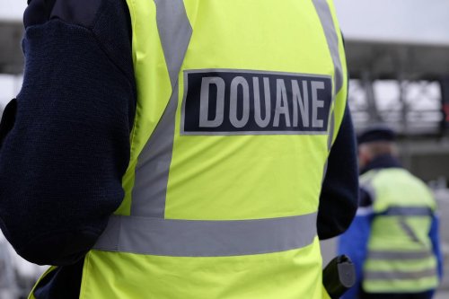 Guadeloupe : saisie « historique » par les douanes de plus de 400 kg d’un mollusque protégé