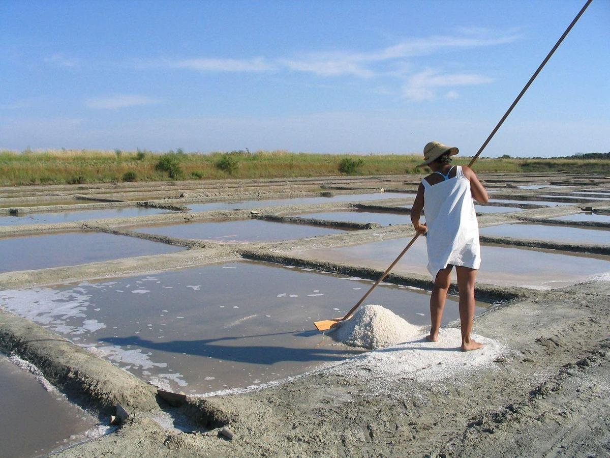 Une étude pour développer la saliculture dans les marais de la Seudre