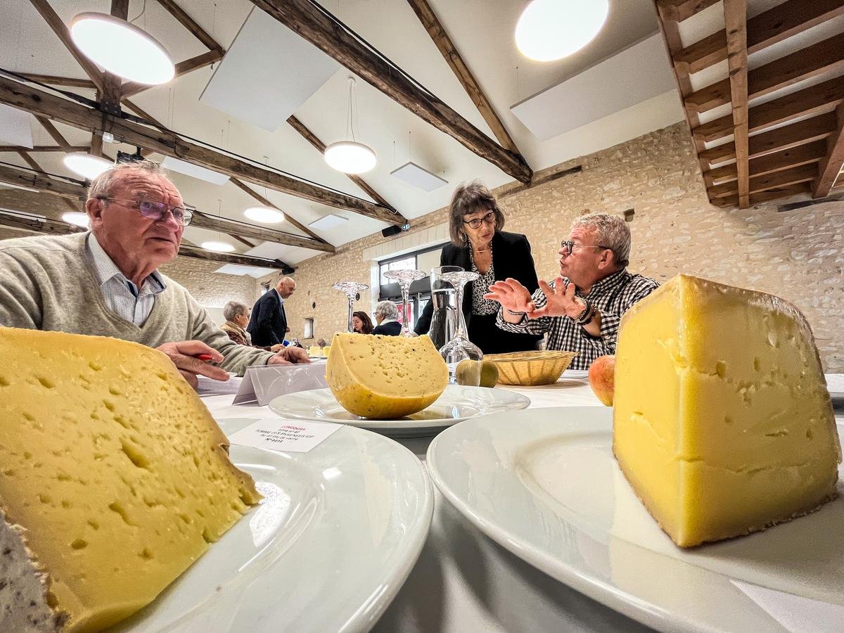 Cognac, tomme des Pyrénées, huîtres d’Arcachon… Quand monsieur et madame tout-le-monde sont jurés au concours des saveurs