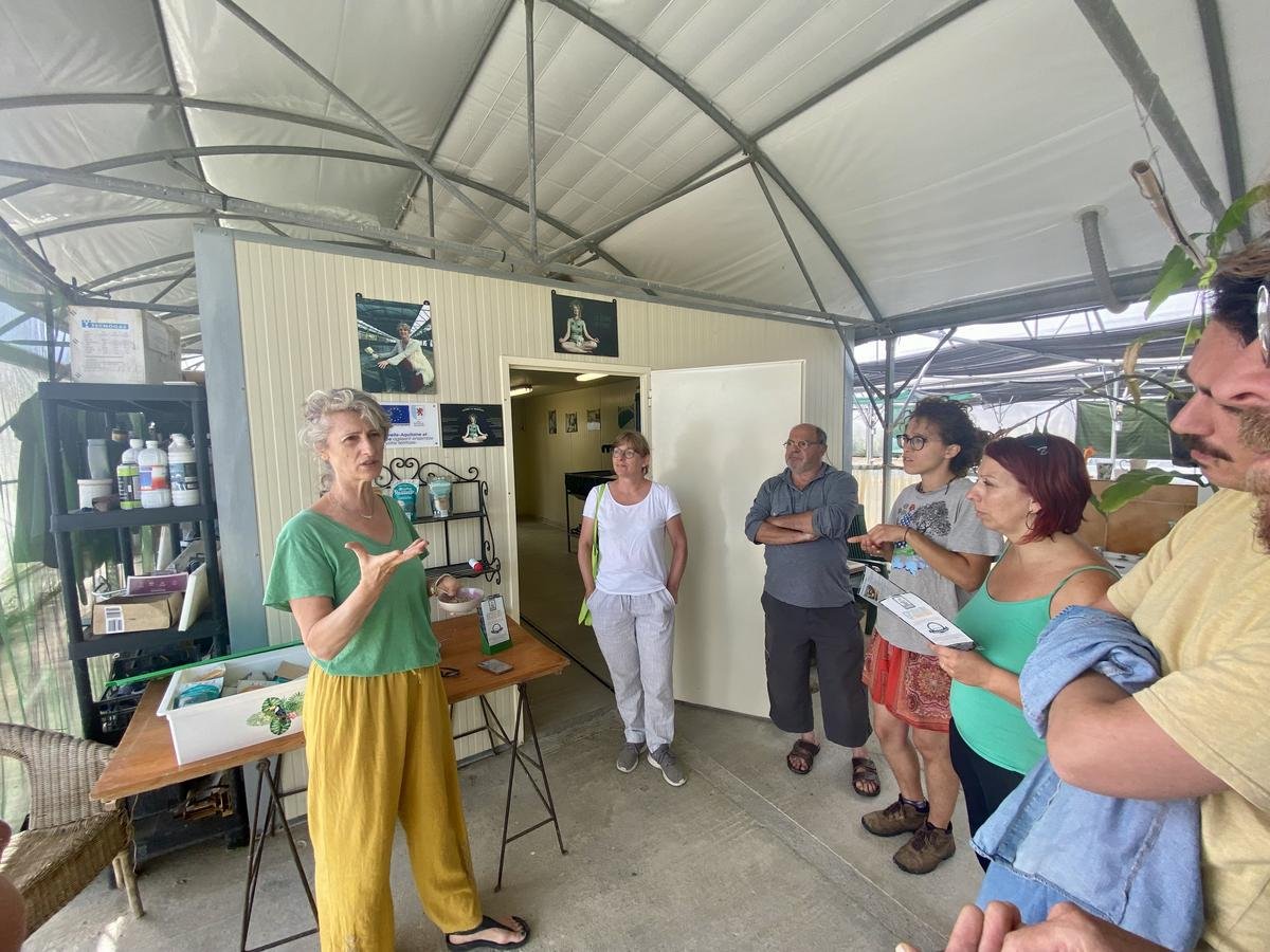 « Le foncier, c’est le nerf de la guerre » : un premier camp d’été pour faciliter l’installation agricole