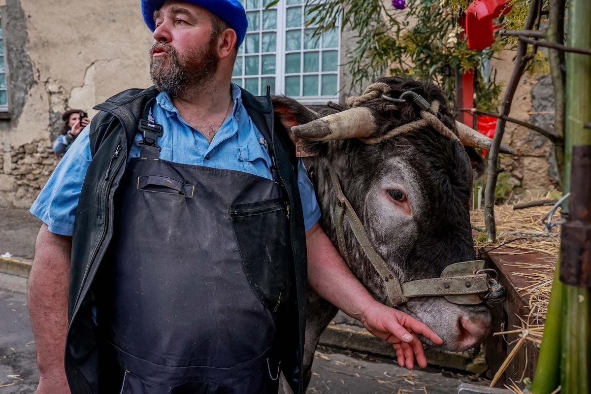 Casteljaloux attend plus d’un millier de personnes pour la Fête des bœufs gras