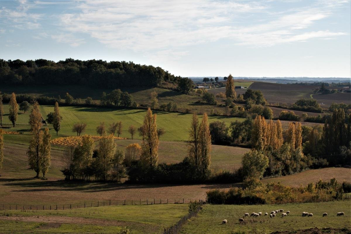Pays de Lauzun : une soirée dédiée à l’agriculture et à l’agrivoltaïsme