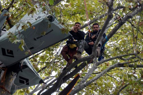 Un opposant au projet d’autoroute Toulouse-Castres délogé de l’arbre dans lequel il campait face au ministère