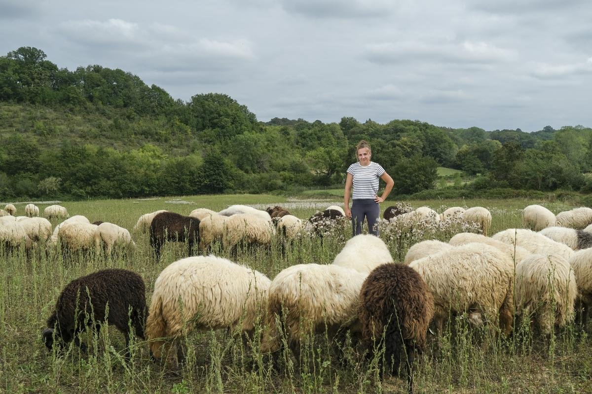 Landes : à Pimbo, protection de la biodiversité et soutien de l’élevage local vont de pair