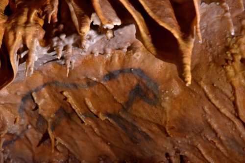 Préhistoire : une grotte de Dordogne rejoint le réseau européen Carp