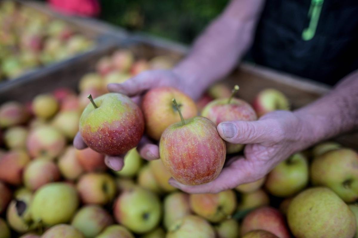 « Ce procès peut faire date » : un ex-arboriculteur malade des pesticides veut « ouvrir les yeux » des agriculteurs
