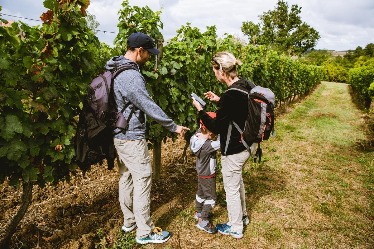 Oenotourisme : cinq escapades à ne pas manquer dans les vignes du Bergeracois