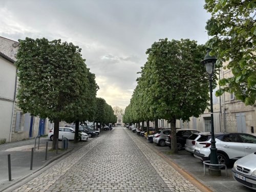 Rochefort : l’état des trottoirs de la rue des Petites Allées agite les riverains du centre-ville