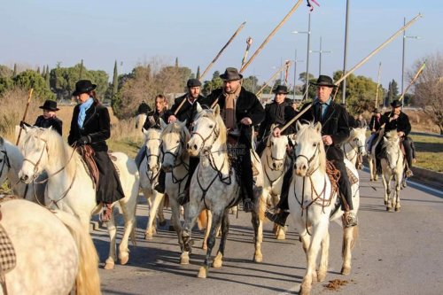 La Camargue, avec ses taureaux, chevaux et traditions, investit la Haute Gironde à Saint-Christoly-de-Blaye