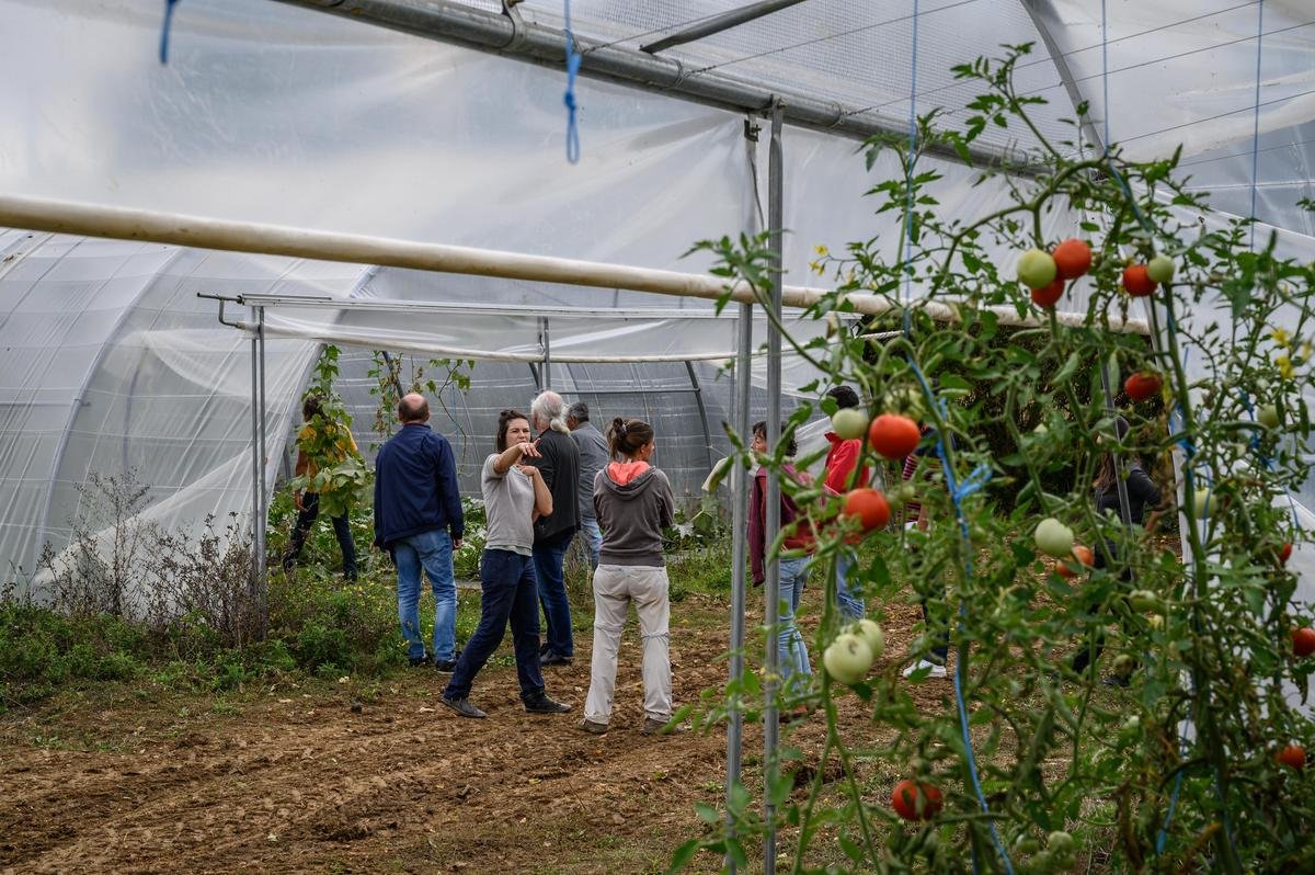 La Rochelle Agglo : une vitrine de 48 heures pour l’agriculture urbaine dans sa diversité