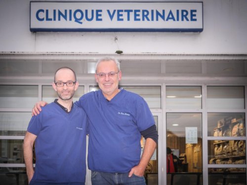 50 ans de la clinique vétérinaire de Parme à Biarritz : ils ont vu le bien-être animal grandir