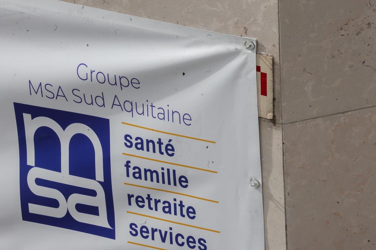 Landes et Pyrénées-Atlantiques : la MSA élit ses délégués jusqu’au 16 mai